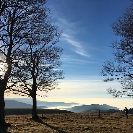 Schlaf Aus Im Schwedenhaus Eimeldingen